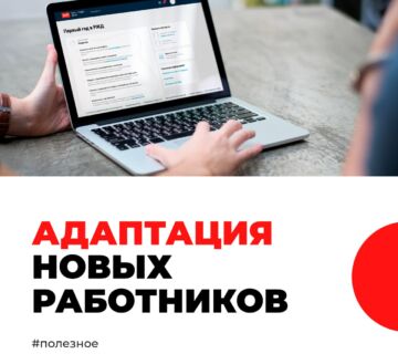 Адаптация для новичков