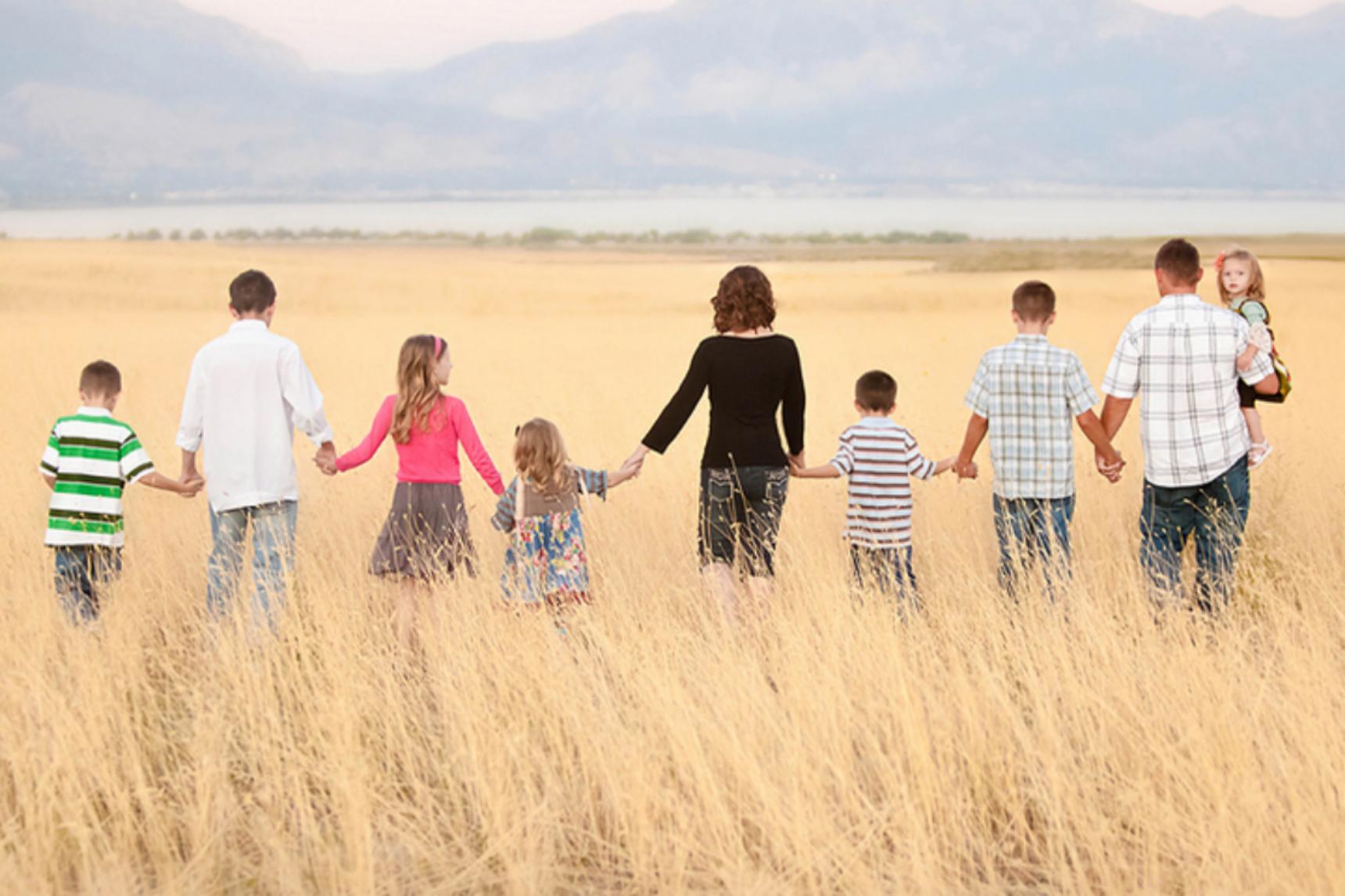 Помощь многодетным